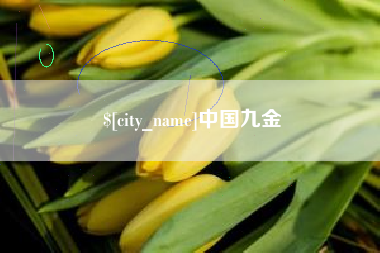 湖北中国九金