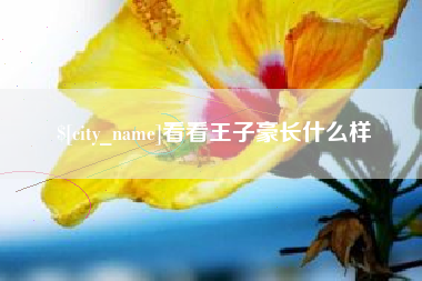 湖北看看王子豪长什么样