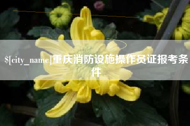 湖北重庆消防设施操作员证报考条件