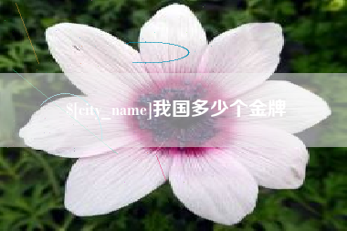 湖北我国多少个金牌