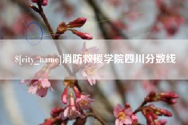 湖北消防救援学院四川分数线