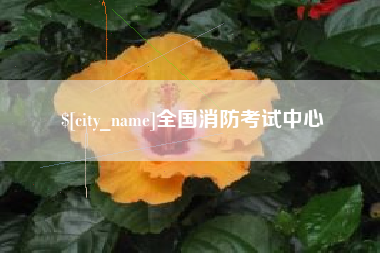 湖北全国消防考试中心