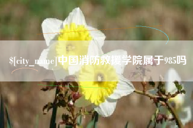 湖北中国消防救援学院属于985吗