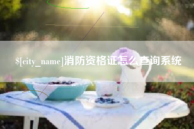 湖北消防资格证怎么查询系统