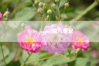 湖北第九金是
