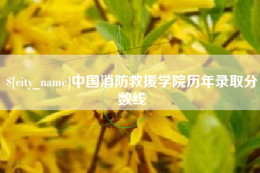 湖北中国消防救援学院历年录取分数线