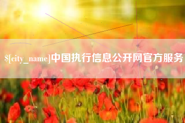 湖北中国执行信息公开网官方服务