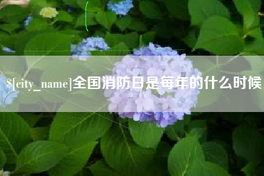 湖北全国消防日是每年的什么时候