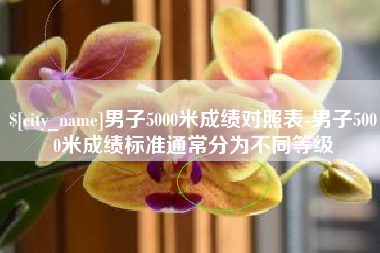 湖北男子5000米成绩对照表-男子5000米成绩标准通常分为不同等级