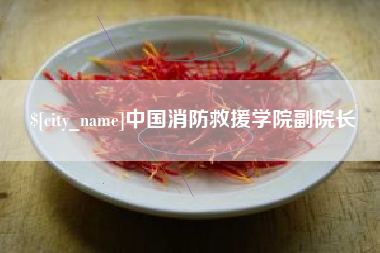 湖北中国消防救援学院副院长