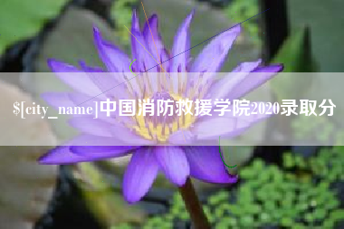 湖北中国消防救援学院2020录取分