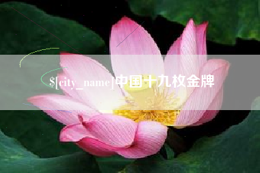 湖北中国十九枚金牌