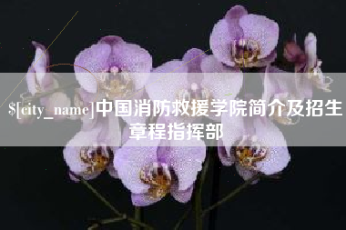 湖北中国消防救援学院简介及招生章程指挥部