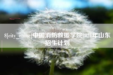 湖北中国消防救援学院2021年山东招生计划