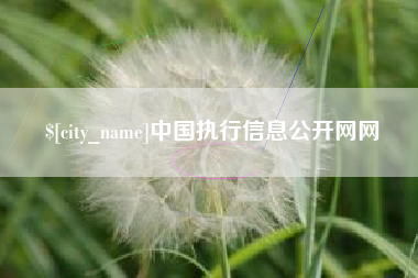 湖北中国执行信息公开网网