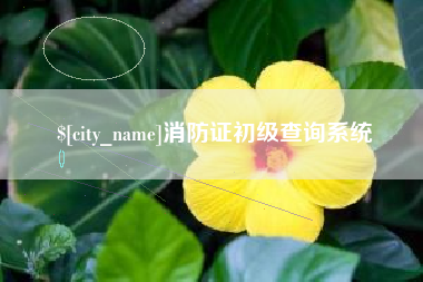 湖北消防证初级查询系统
