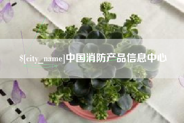 湖北中国消防产品信息中心