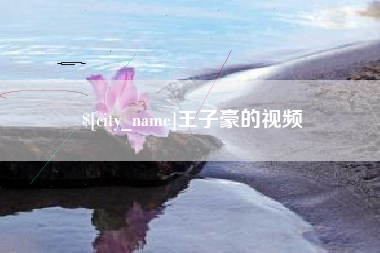湖北王子豪的视频