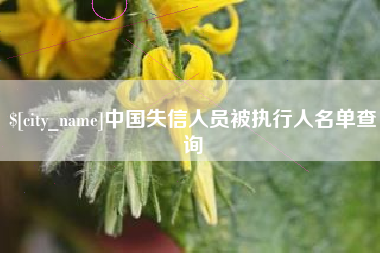 湖北中国失信人员被执行人名单查询