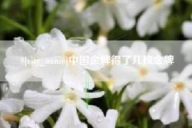 湖北中国金牌得了几枚金牌