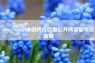湖北中国执行信息公开网客服电话查询