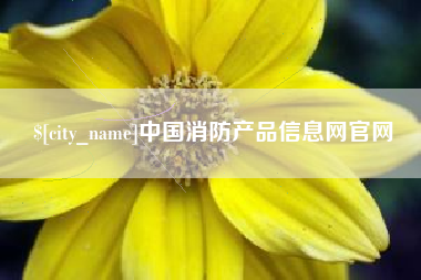 湖北中国消防产品信息网官网