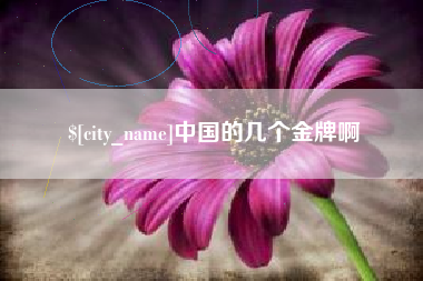 湖北中国的几个金牌啊