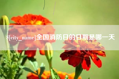 湖北全国消防日的日期是哪一天