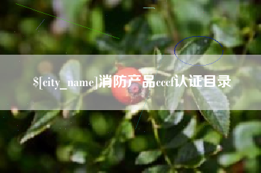 湖北消防产品cccf认证目录