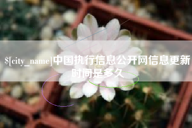 湖北中国执行信息公开网信息更新时间是多久