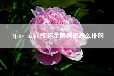 湖北奥运金牌榜是怎么排的