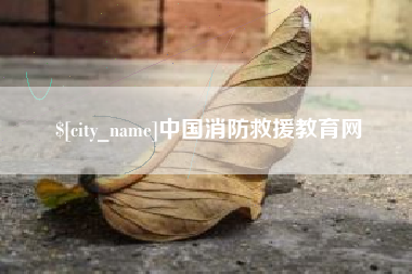湖北中国消防救援教育网