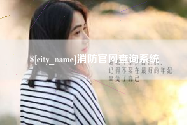 湖北消防官网查询系统
