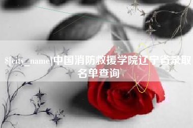 湖北中国消防救援学院辽宁省录取名单查询
