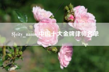 湖北中国十大金牌律师名单