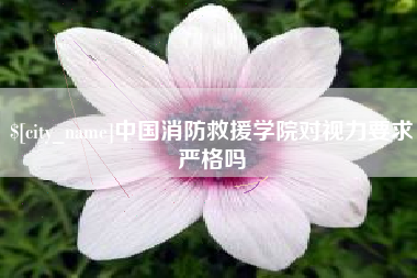湖北中国消防救援学院对视力要求严格吗