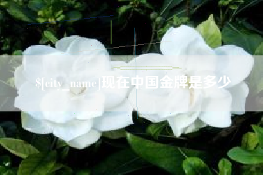 湖北现在中国金牌是多少