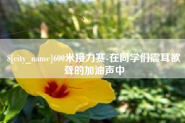 湖北600米接力赛-在同学们震耳欲聋的加油声中