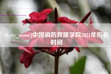 湖北中国消防救援学院2021年报名时间