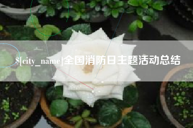 湖北全国消防日主题活动总结