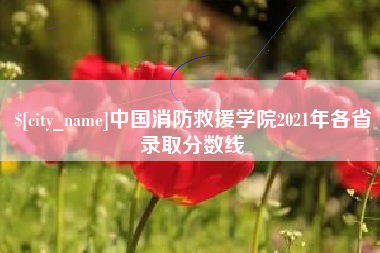 湖北中国消防救援学院2021年各省录取分数线