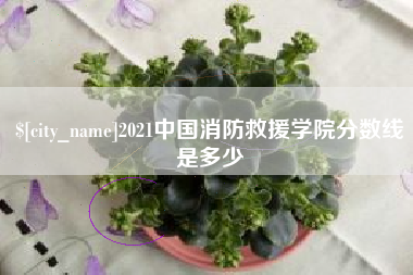 湖北2021中国消防救援学院分数线是多少
