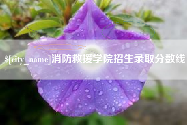 湖北消防救援学院招生录取分数线