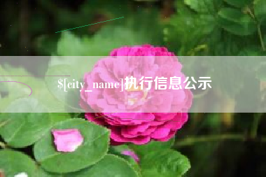 湖北执行信息公示