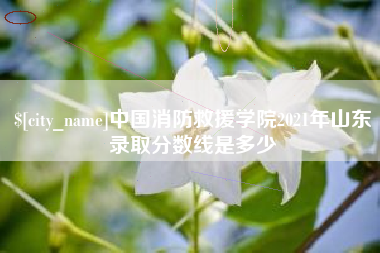 湖北中国消防救援学院2021年山东录取分数线是多少