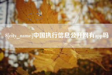 湖北中国执行信息公开网有app吗