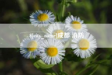 湖北成都 消防