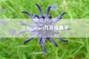 湖北九宫格盘子