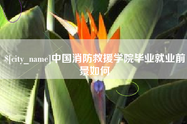 湖北中国消防救援学院毕业就业前景如何