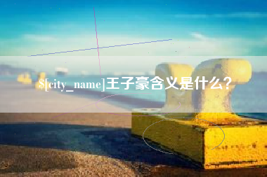湖北王子豪含义是什么？